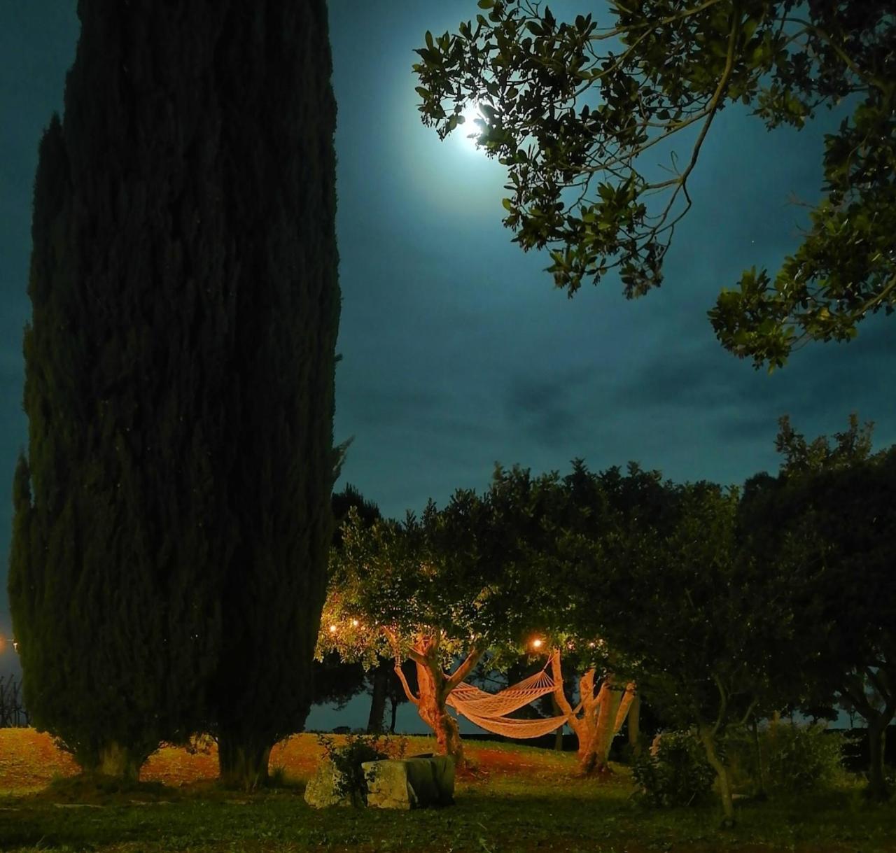 Villa Torto Monopoli Dış mekan fotoğraf