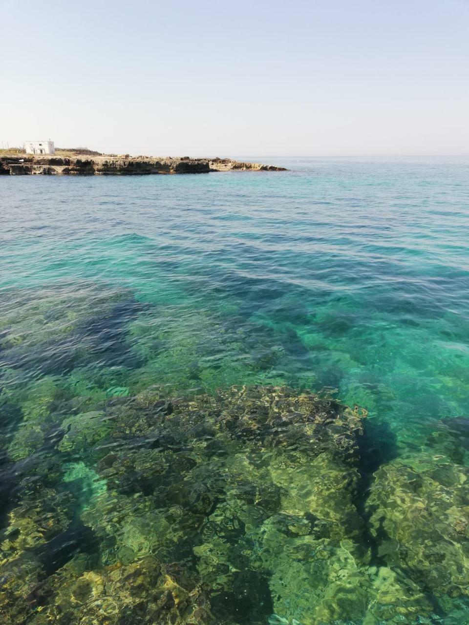 Villa Torto Monopoli Dış mekan fotoğraf
